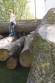 Click to see it big Impression aus dem Atelier